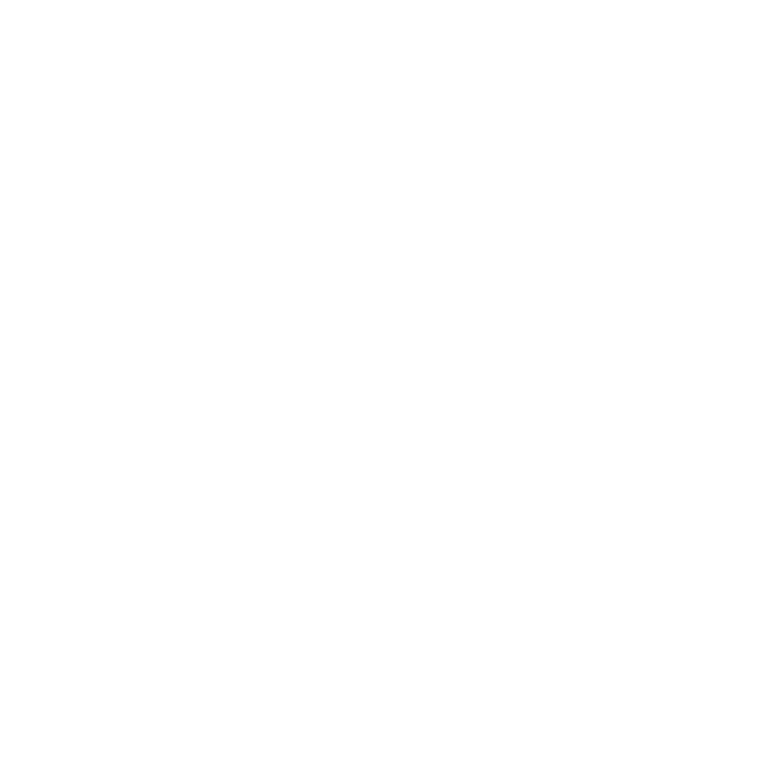 W811 Performance Club logo